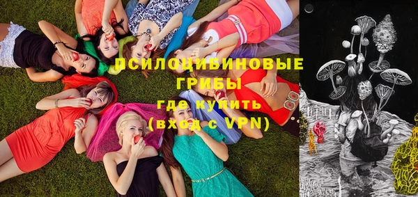 ПСИЛОЦИБИНОВЫЕ ГРИБЫ Балабаново