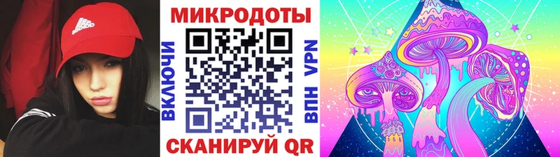 Псилоцибиновые грибы Psilocybe  Купить где  Беслан 